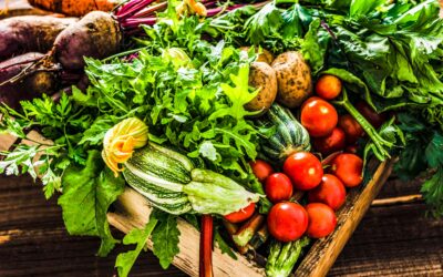 Zdrowe warzywa i owoce na działce, czyli integrowana ochrona roślin dla amatorów